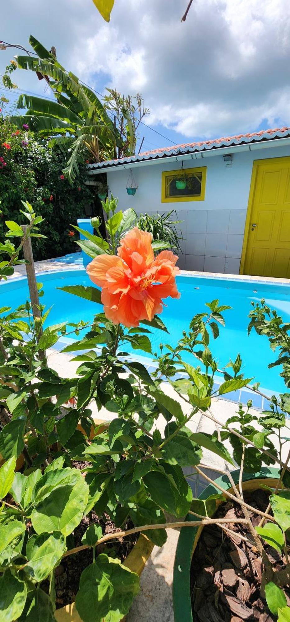 Mandala Dreams Pousada E Portal Holistico Maceió Exteriör bild