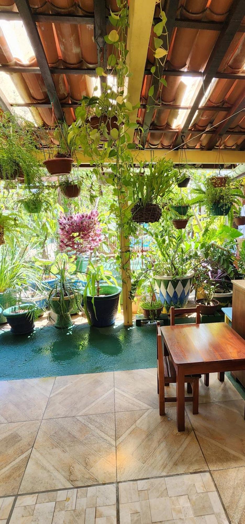 Mandala Dreams Pousada E Portal Holistico Maceió Exteriör bild