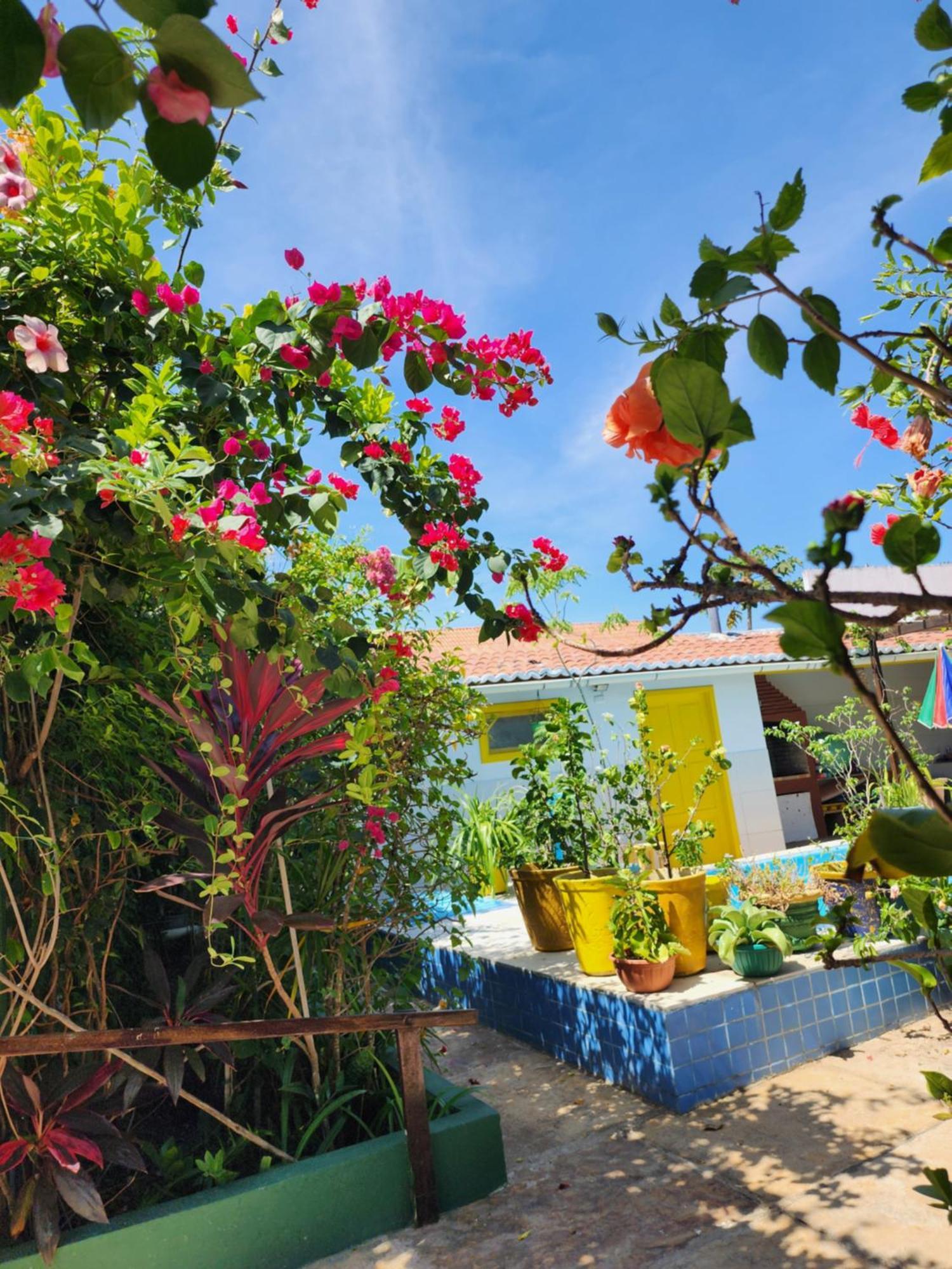 Mandala Dreams Pousada E Portal Holistico Maceió Exteriör bild