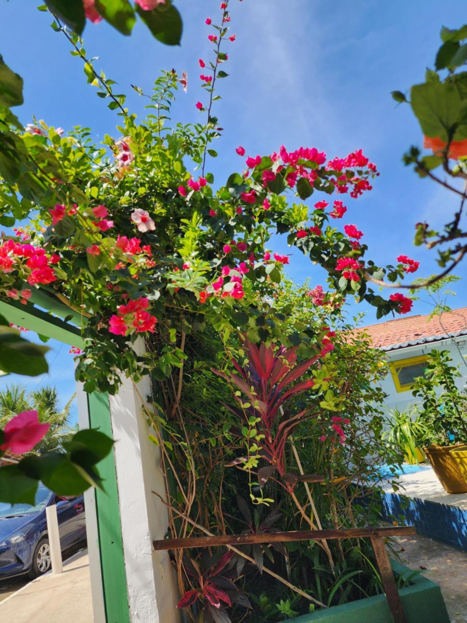 Mandala Dreams Pousada E Portal Holistico Maceió Exteriör bild