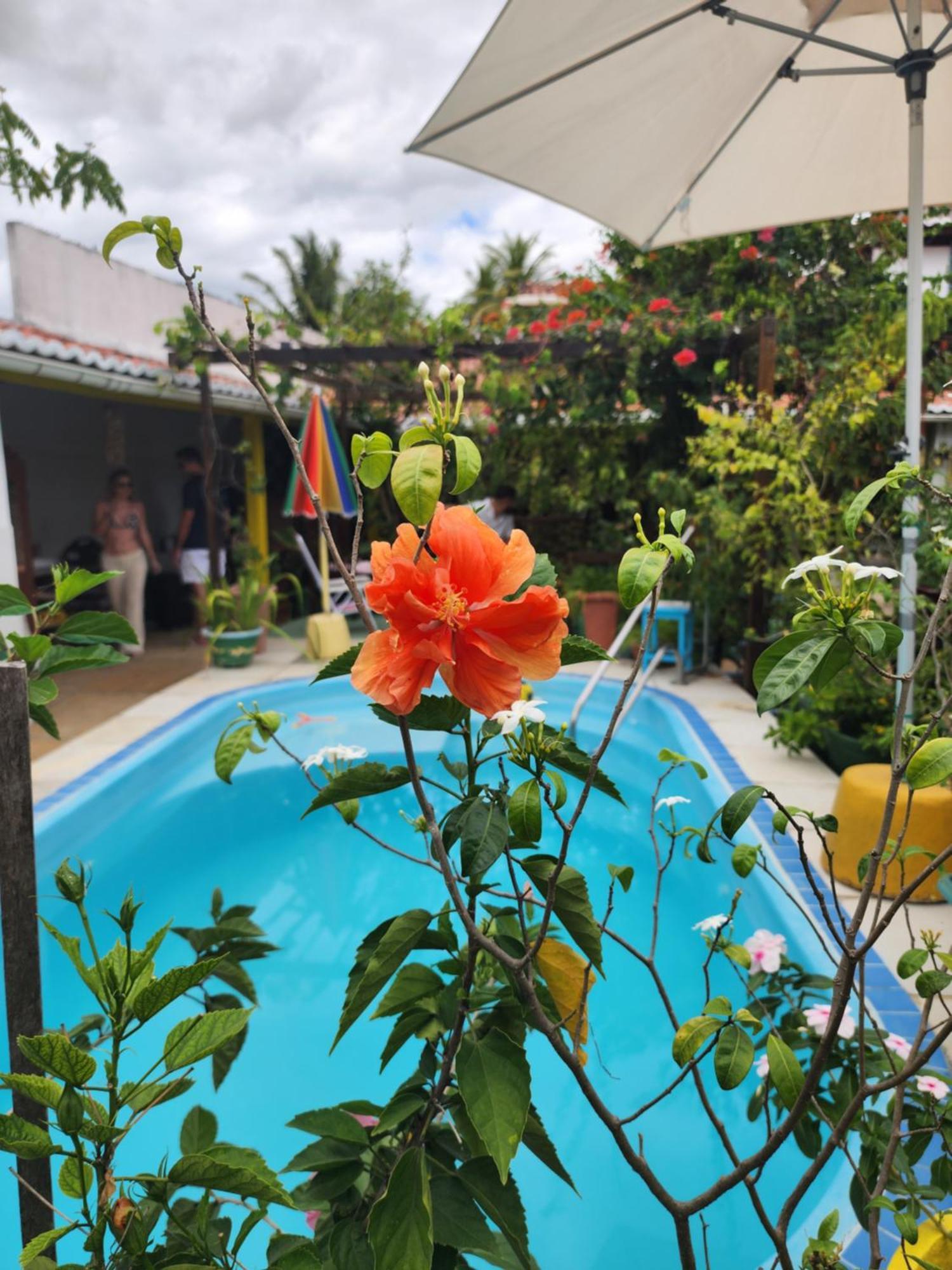 Mandala Dreams Pousada E Portal Holistico Maceió Exteriör bild