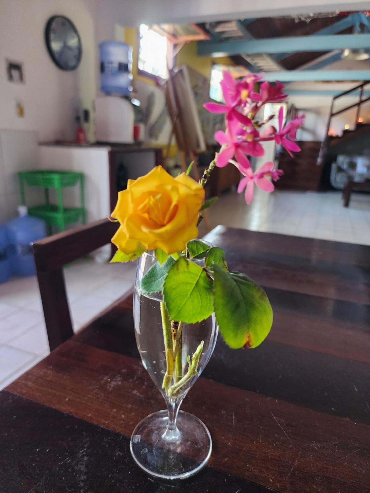 Mandala Dreams Pousada E Portal Holistico Maceió Exteriör bild